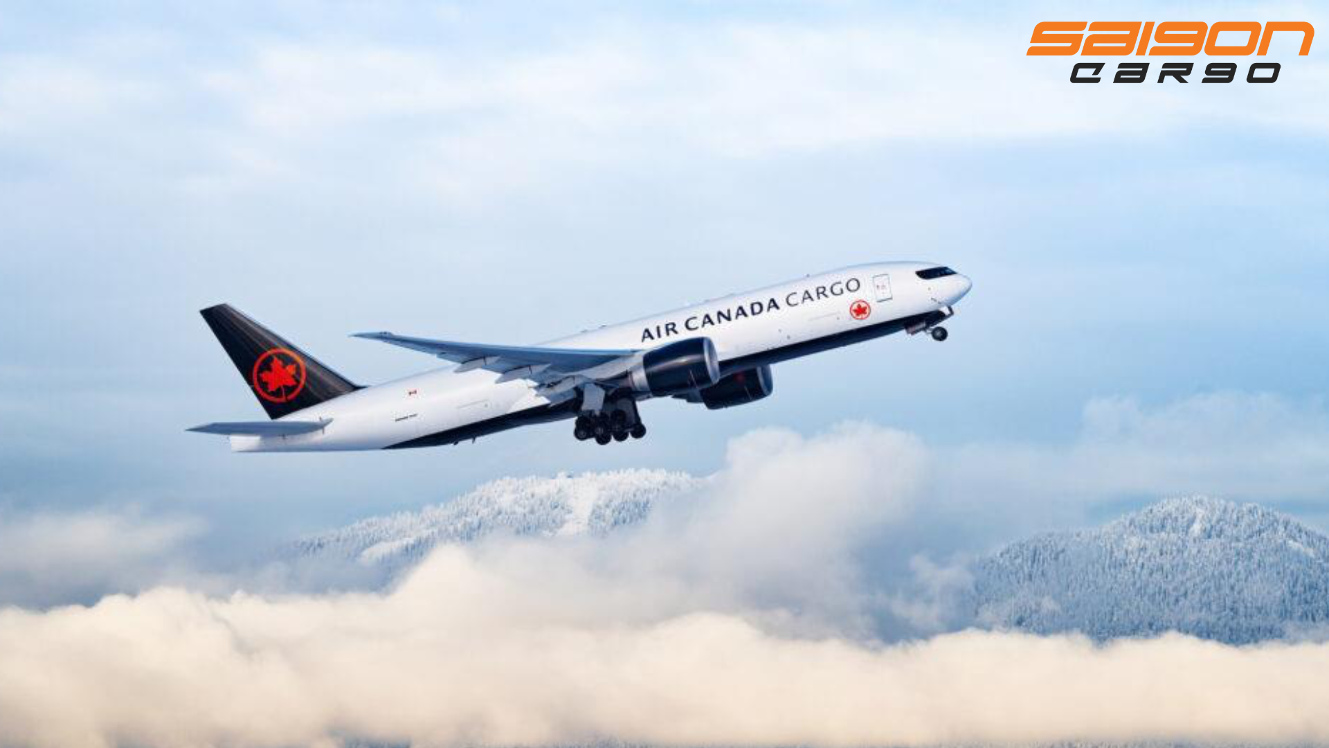 Air Canada Cargo Tạm Dừng Nhận Hàng Đặc Biệt và Cảnh Báo Chậm Trễ Do Đình Công