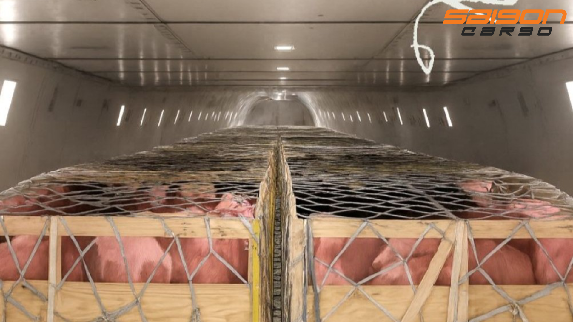 Intradco Global vận chuyển 1.200 lợn giống bằng đường hàng không từ Đan Mạch đến Philippines