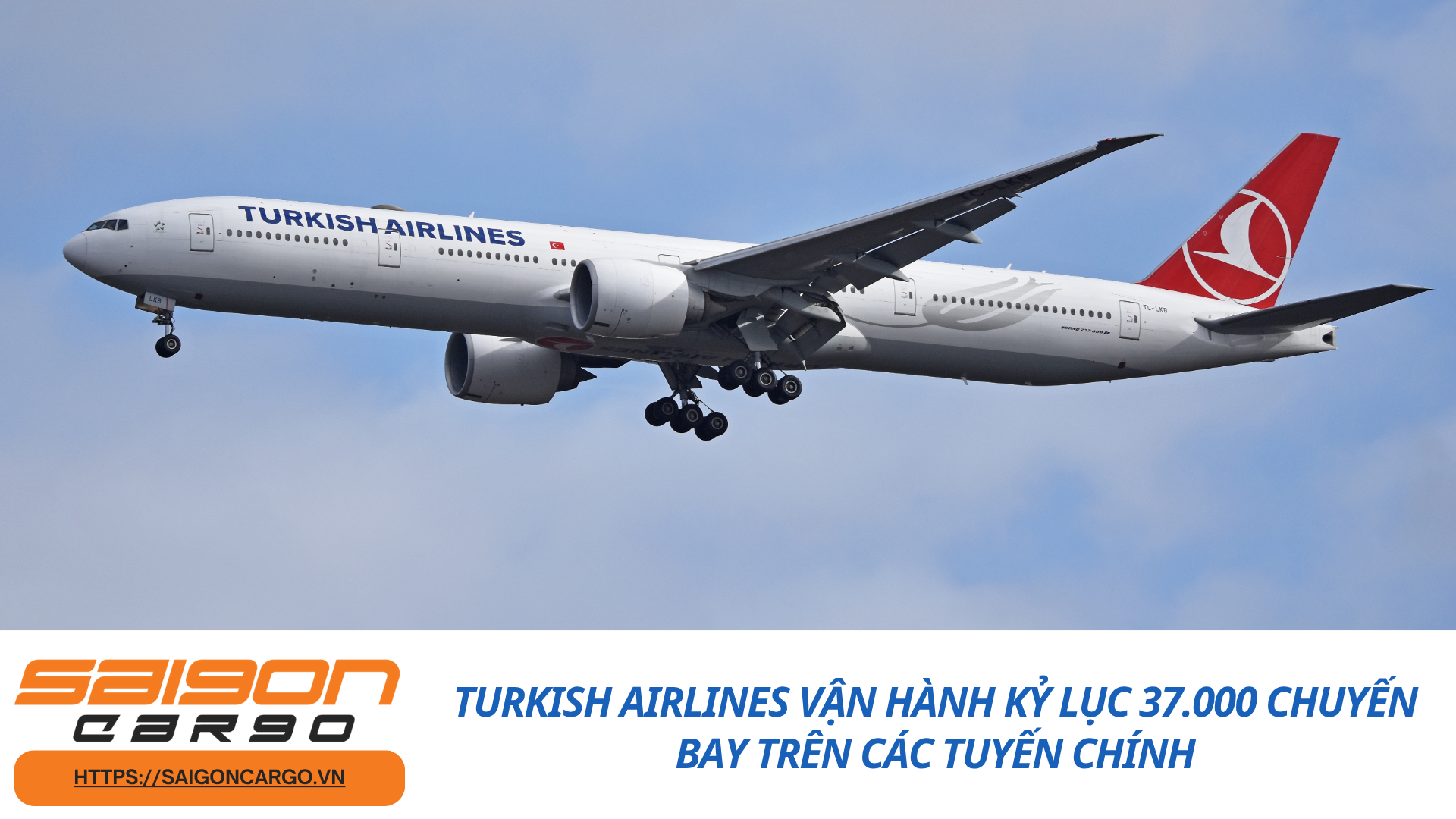 Turkish Airlines vận hành kỷ lục 37.000 chuyến bay trên các tuyến chính