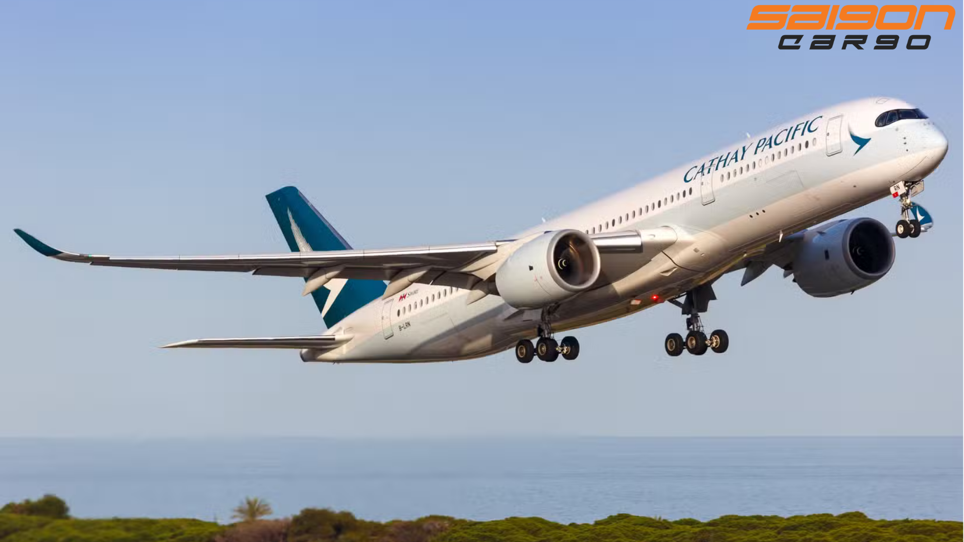 Sự Cố Chạm Đuôi Airbus A350-1000 Của Cathay Pacific Tại Hong Kong Sau Pha Hạ Cánh Lỗi