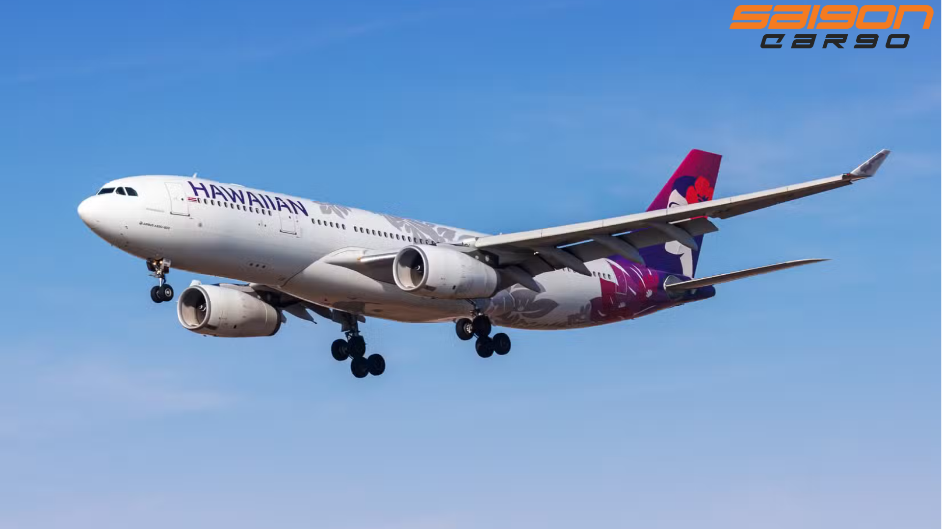 Bước Tiến Mới: Bên Trong Chiến Lược Đổi Mới Đội Bay 2025 Của Hawaiian Airlines